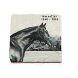 Historical Stallions Marble Coaster Set