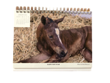 Desk Calendar