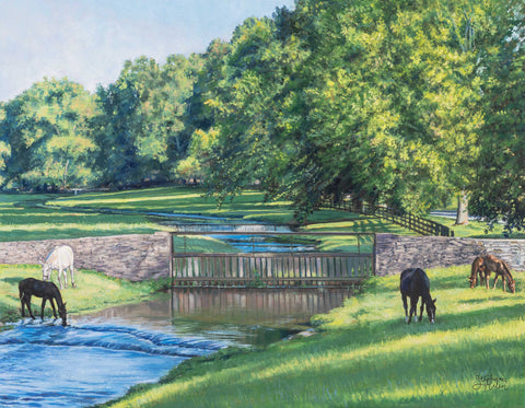 "Summer at Claiborne"