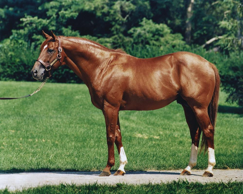 Tony Leonard Secretariat Photos – Claiborne Farm